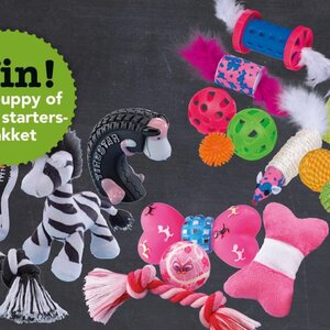 Dierspecialist Ben &amp; Eugenie image 2