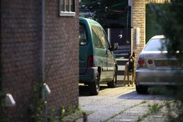 Hulpdiensten vallen in woning binnen: 'opgesloten hond op de vlucht'