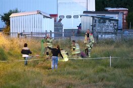 Paard in sloot door brandweer op het droge getrokken in Aalsmeer
