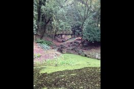 Wandeltocht door de Overplaats