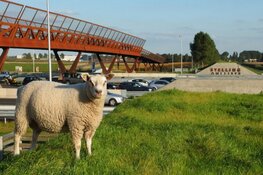 Samenwerking voor toekomst mobiliteit in Haarlemmermeer