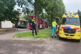 Bewoner gewond bij woningbrand in Hoofddorp