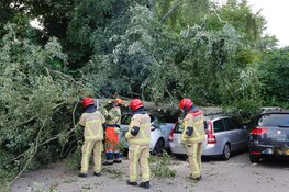 Boom op meerdere geparkeerde auto&#39;s beland in De Kwakel