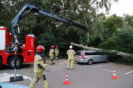 Boom op meerdere geparkeerde auto&#39;s beland in De Kwakel