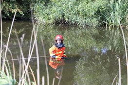 Zwaan gered door brandweer en dierenambulance