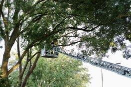 Brandweer Uithoorn rukt uit voor stormschade