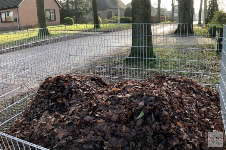 Ze staan er weer: de bladkorven