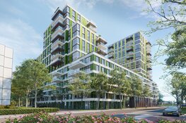 Hollandse Meesters Amstelveen - Be an artist in the way you live