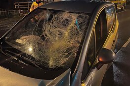 Automobiliste onder invloed aangehouden na ongeval