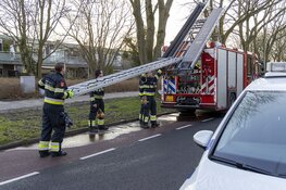 Brand in afzuigkap aan de Nauerna Zwanenburg