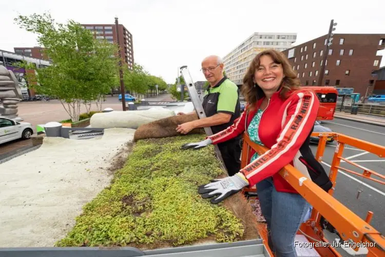 Bushokjes in Haarlemmermeer kleuren groen