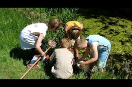 De wonderlijke waterwereld rond speelterrein Kleiland