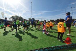 Een zomer vol activiteiten