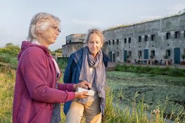 Vleermuizen langs Geniedijk in Hoofddorp