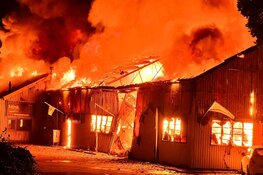 Uitslaande brand in Nieuw Vennep verwoest aquarium-speciaalzaak