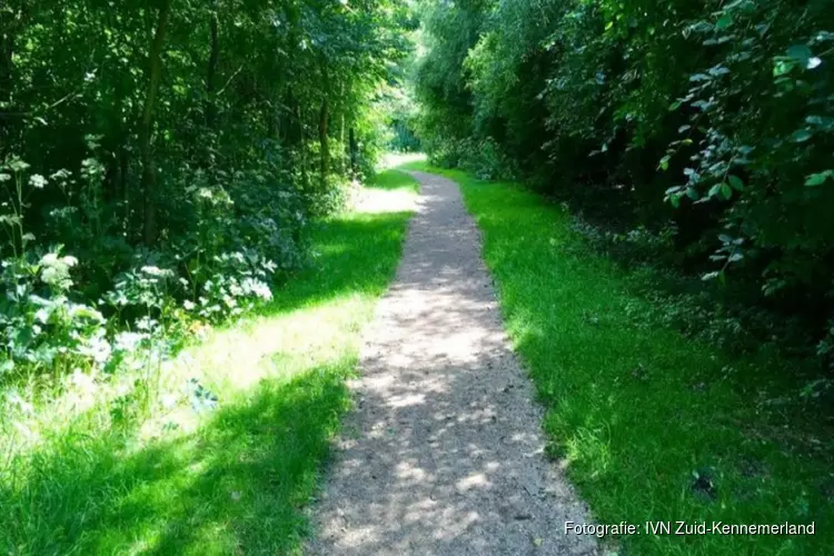Vruchten en zaden in Venneperhout