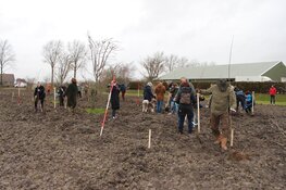 Geboortebos Park Zwanenburg geeft kindjes een groene start in 2023