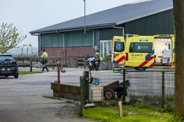 Ruiter gewond na val van paard