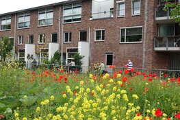 44e Dorpentocht op Zondag 4 juni