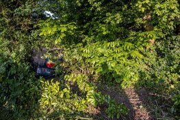 Man aangehouden na ongeluk in Zwaanshoek