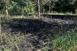 Massale uitruk van brandweer: brand naast Hoge Snelheids Lijn