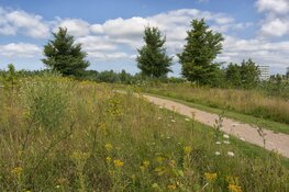 Wat groeit en bloeit in PARK21?