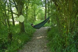 Feest mét de natuur! Ervaar de natuur met al je zintuigen