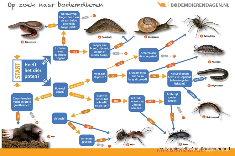 Ga mee op bodemdierensafari op woensdag 4 oktober