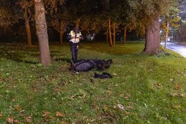 Ravage na aanrijding in Nieuw-Vennep