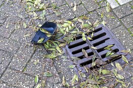 Politie doet onderzoek bij brandstichting auto`s aan de Inlaag in Zwanenburg