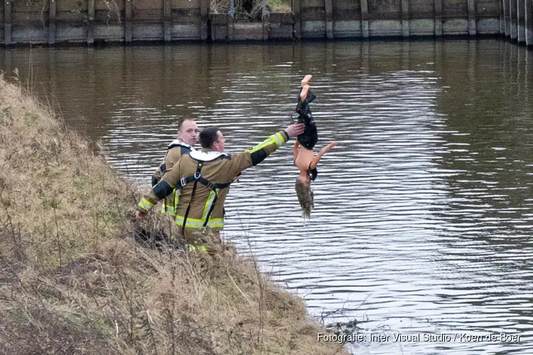 Brandweer en andere hulpdiensten rukken uit voor een pop te water