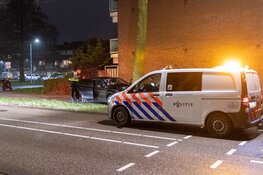 Automobilist verliest macht over het stuur en crasht tegen boom in Hoofddorp
