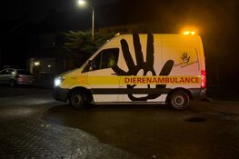 Twee personen gewond bij woningbrand in Halfweg