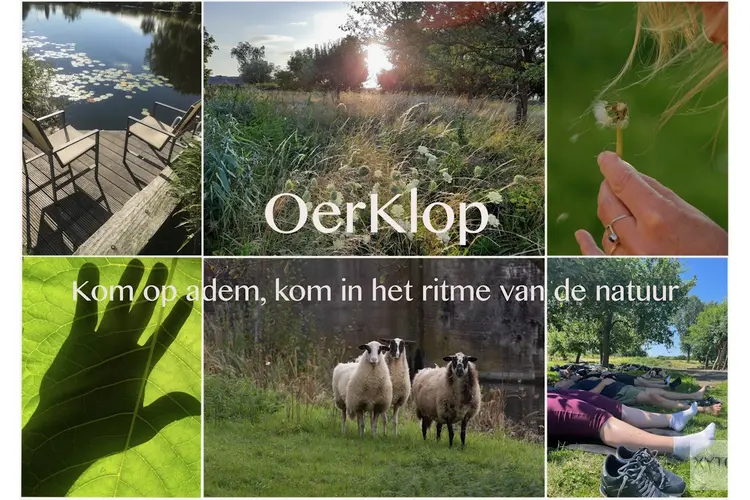 OerKlop festival op Fort bij Aalsmeer