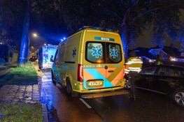 Bestuurder onder invloed richt ravage aan in Badhoevedorp