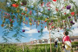 Lang weekend vol bloemen en kunst tijdens Aalsmeer Flower Festival