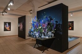 Lang weekend vol bloemen en kunst tijdens Aalsmeer Flower Festival