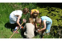 De Haarlemmermeerse Slootjesdag
