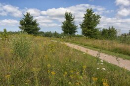 Plantenexcursie in Park21