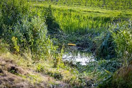 Gezin te water met auto in Hoofddorp