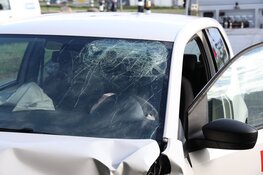 Automobilist vliegt uit de bocht in Rozenburg