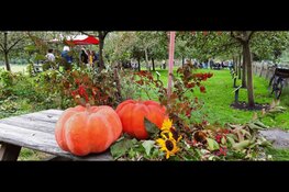 Boerenerf Spaarnwoude viert de herfst met een groot herfstfeest!