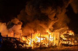 Tientallen auto's in brand in Rijsenhout naast Schiphol