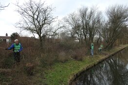 Zaterdag start oogst zaailingen in Park Overbos