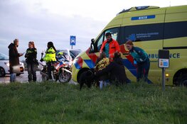 Kindje en vrouw naar ziekenhuis na kopstaartbotsing in Vijfhuizen