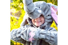 Leuke activiteiten voor én na het eindejaar in Haarlemmermeer!