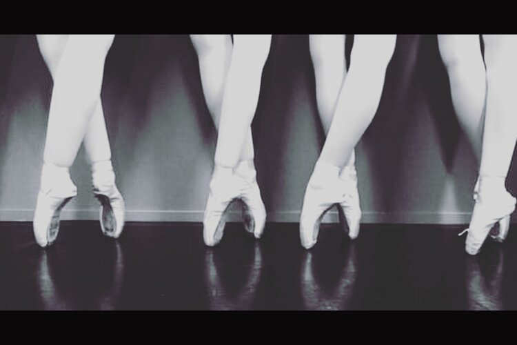 Schrijf je nu in voor een gratis proefles bij Balletstudio Flex