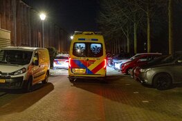 Geweldsincident aan Leidsepoort in Nieuw-Vennep