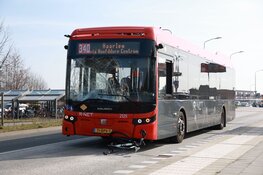 Fietser aangereden door lijnbus: zwaargewond naar ziekenhuis in Aalsmeer