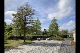 Langs bomen van Meerterpen